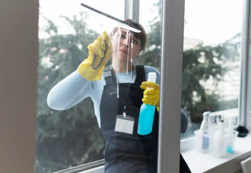 Nettoyage de vitres intérieures et extérieures à Trémolat